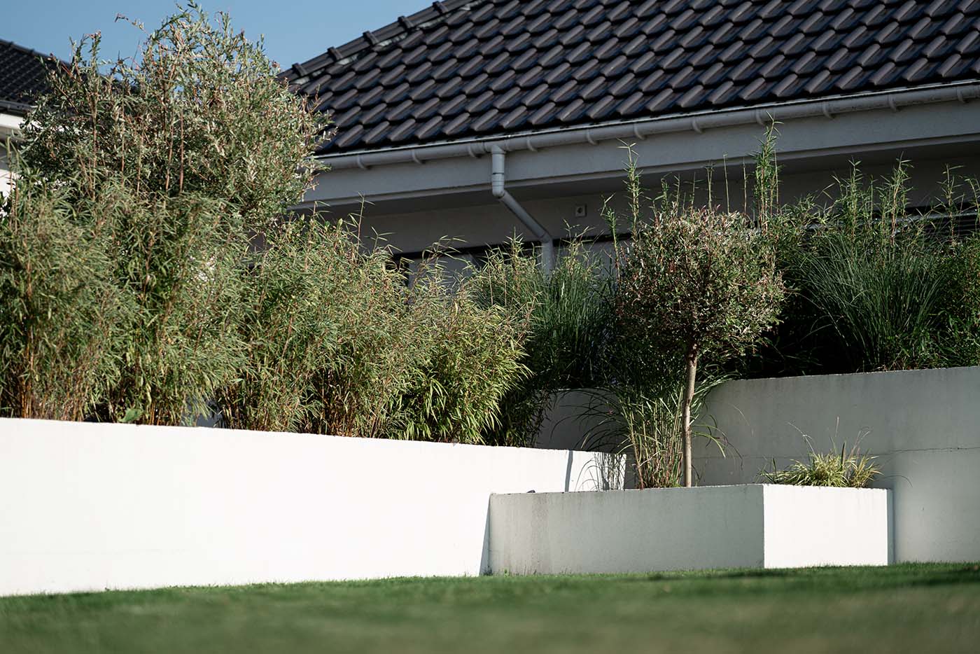 Sesja zdjęciowa – Dom w Szczecinie